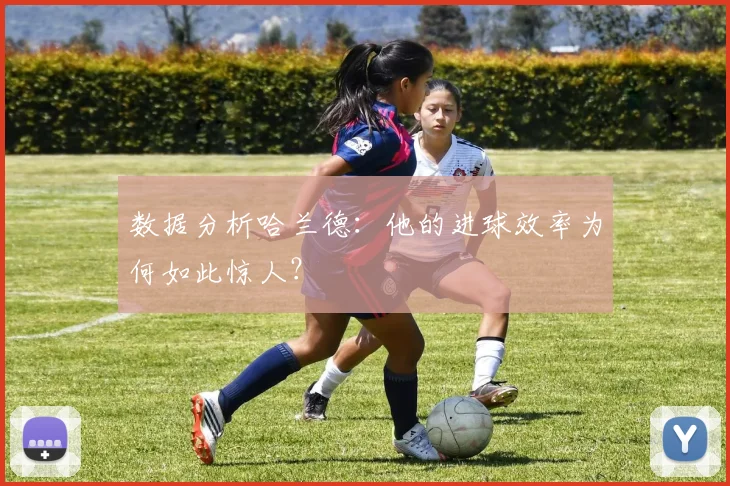 数据分析哈兰德：他的进球效率为何如此惊人？